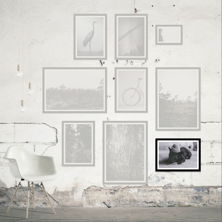 Poster 70x50 "Underdog" Poster 70x50 "Underdog"